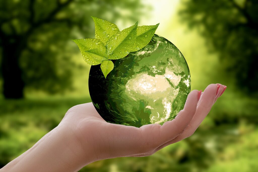 녹색 성장, 지속가능성으로 지구 지키기