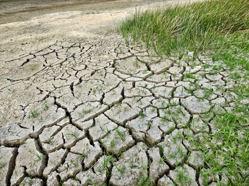 지구 온난화 영향, 가뭄